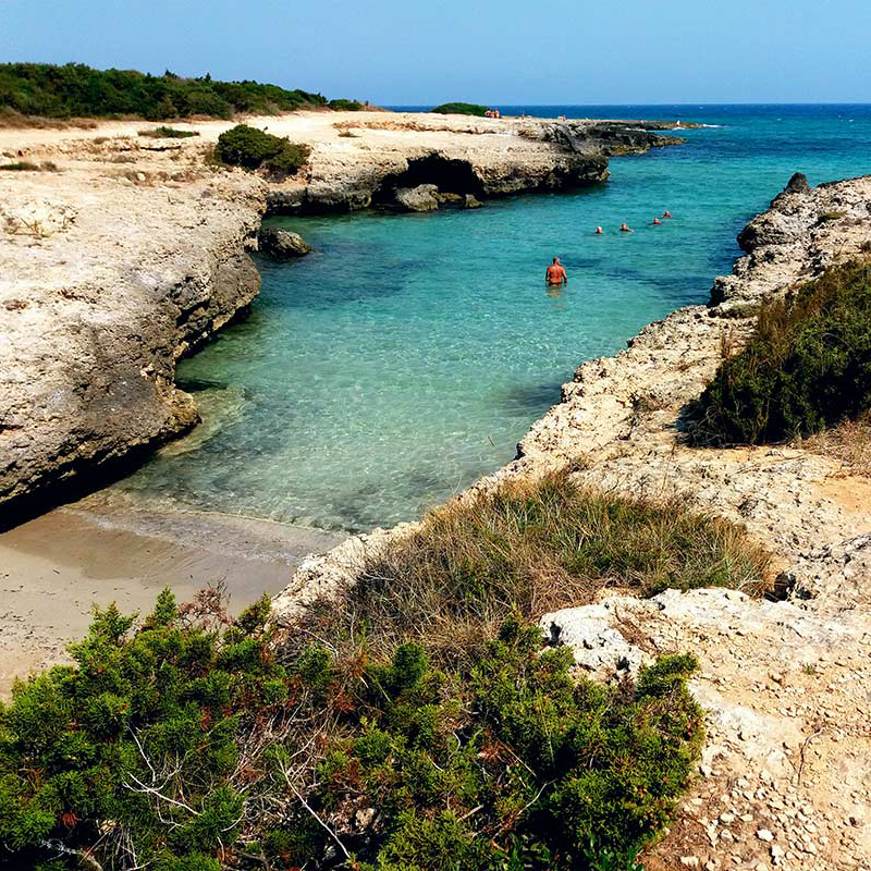costa-merlata